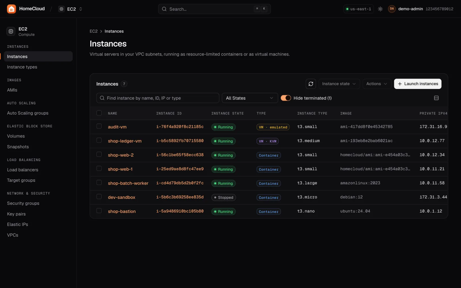 EC2 instances list with names, instance IDs, running or stopped state, instance types, images and private IPs.